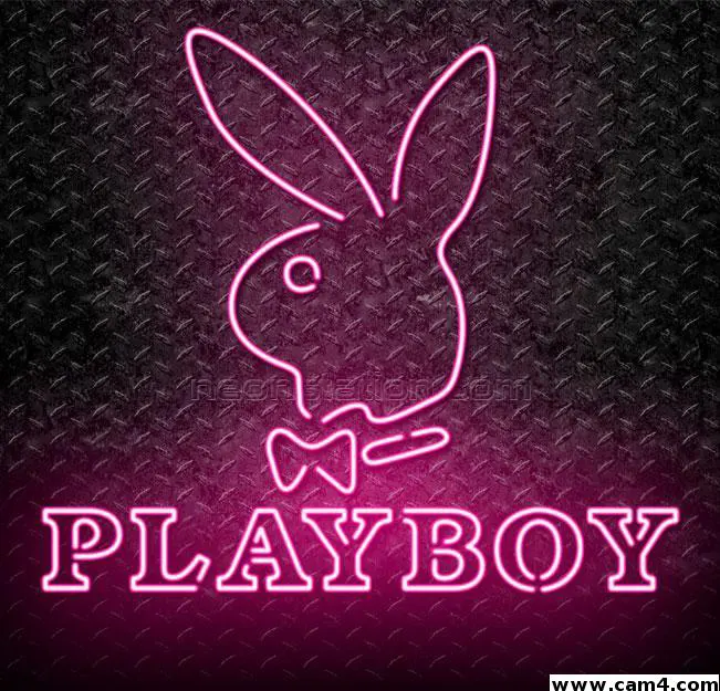 NightHawkCam image 0